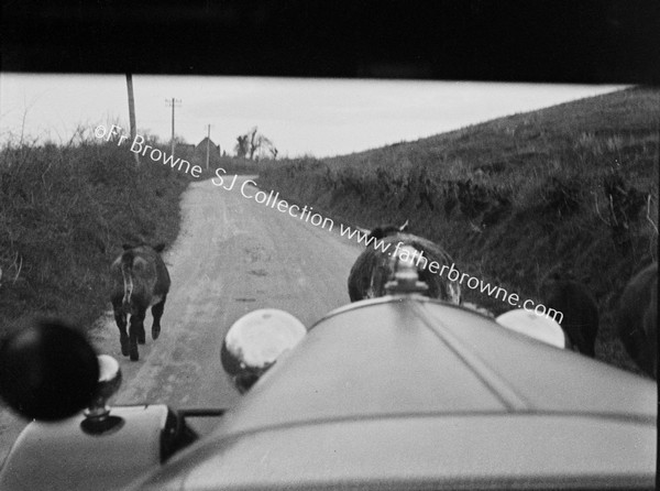 THROUGH WINDSCREEN GRAZING LONG ACRE